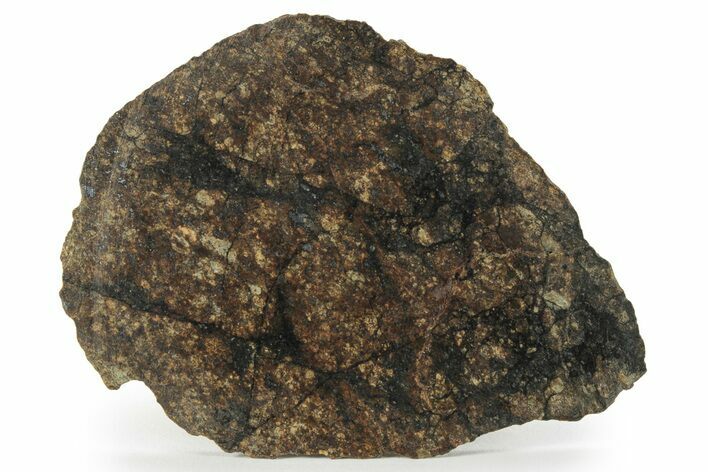 Chondrite Meteorite ( g) Slice with Shock Veins - Morocco #227983